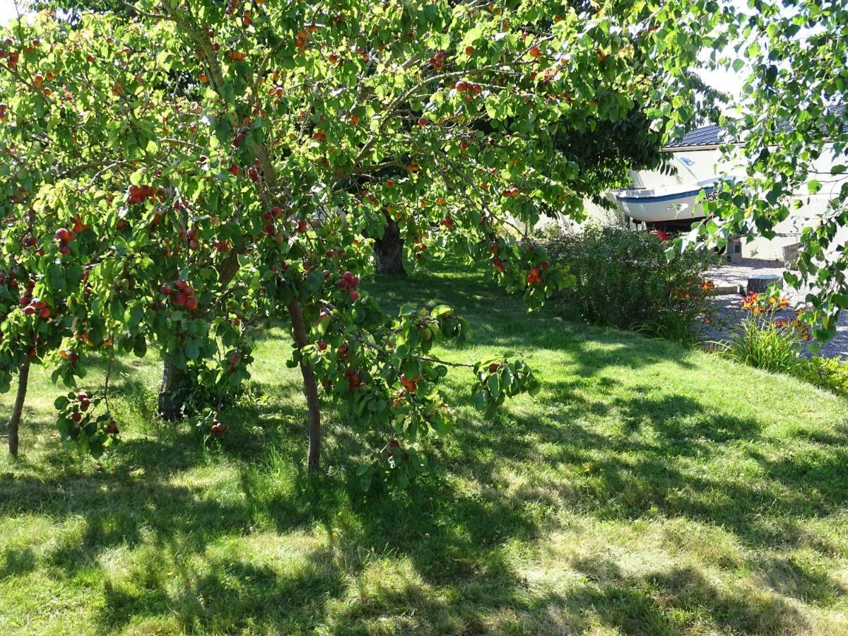 Le Cottage  Village de La Ruée Plurien Extérieur photo